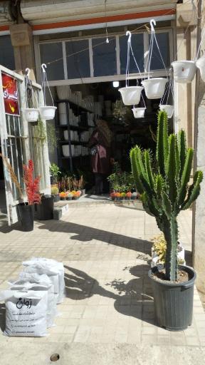 عکس گلسرای ژوان