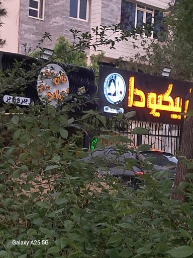 عکس باربیکیو دا