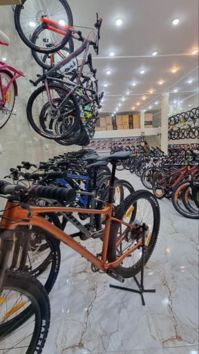 دوچرخه شرق جاینت اسکات، کفش اسکیچرز