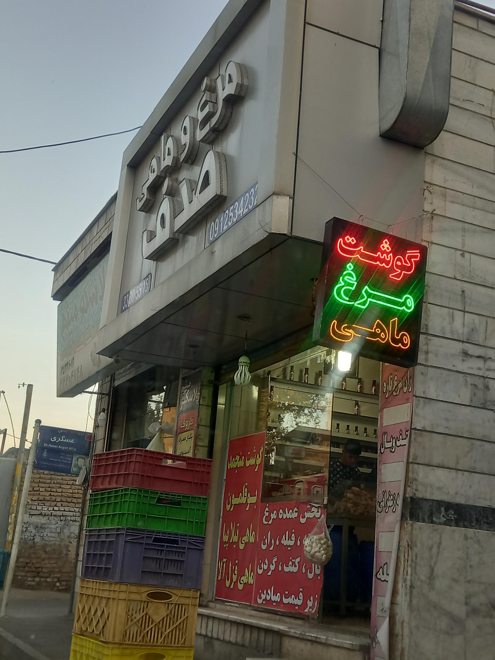 عکس مرغ و ماهی صدف