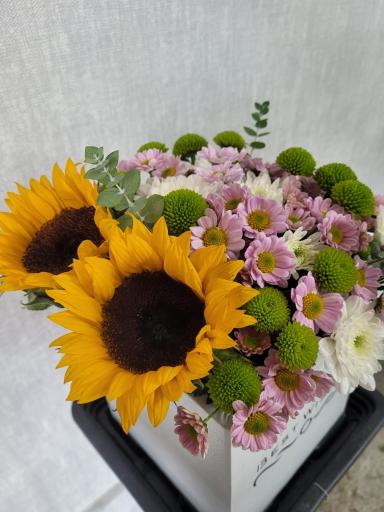 عکس گلسرای گلیف