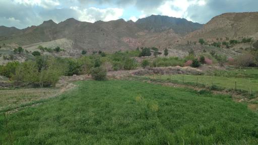 عکس بنرگ
