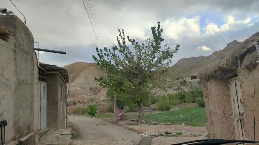 عکس بنرگ