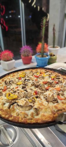 عکس پیتزا و کباب ترکی آرتین