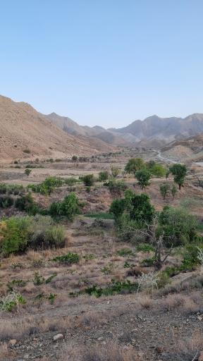 عکس بنرگ