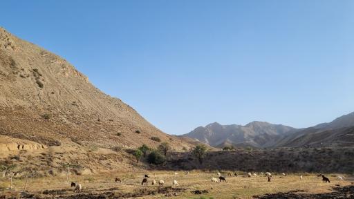 عکس بنرگ