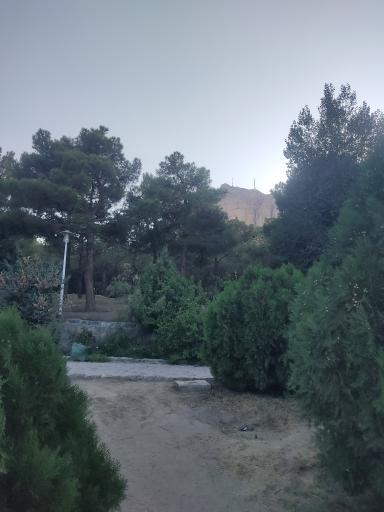 بوستان کوهستانی صفه