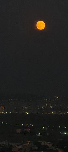 عکس بوستان کوهستانی صفه