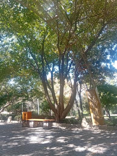 عکس بوستان کوهستانی صفه