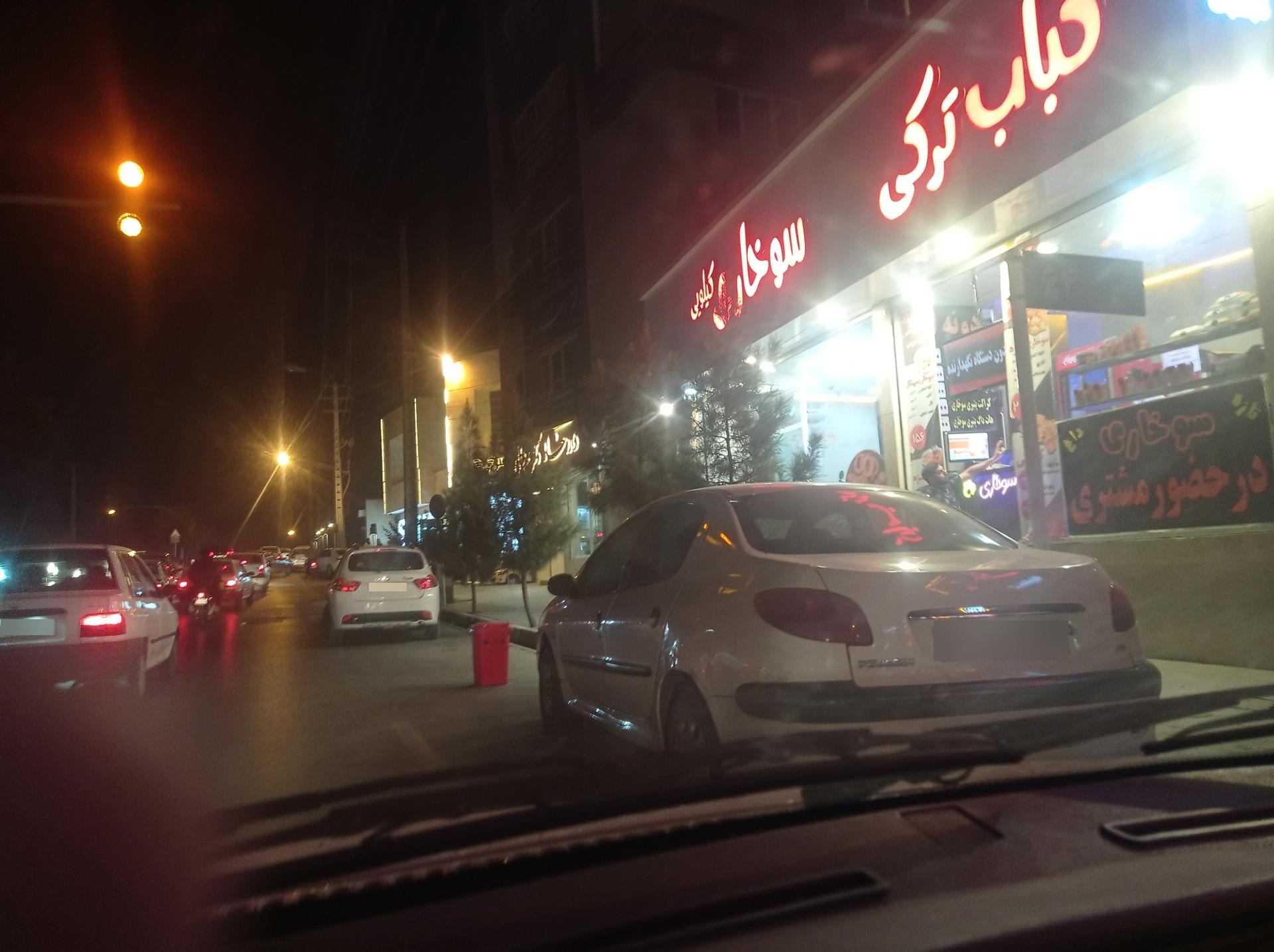 عکس کباب ترکی 