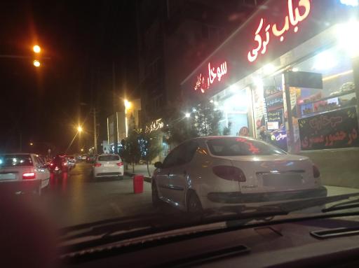 عکس کباب ترکی 