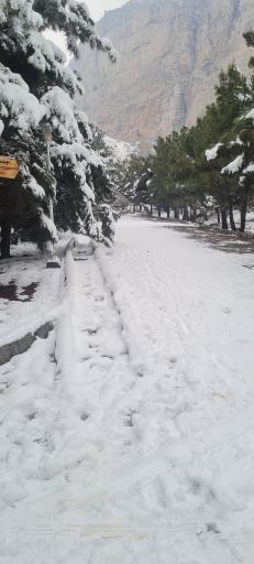 عکس بوستان کوهستانی صفه