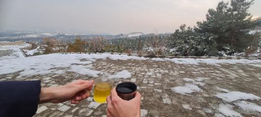 عکس بوستان کوهستانی صفه