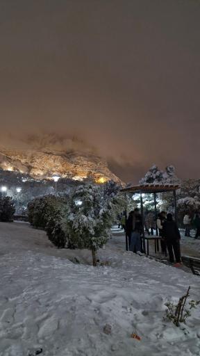 عکس بوستان کوهستانی صفه