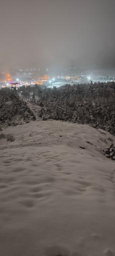 عکس بوستان کوهستانی صفه