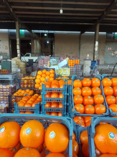 عکس فروشگاه میوه دون