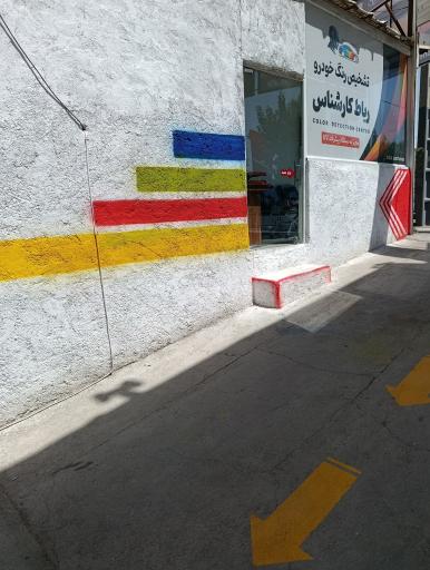 عکس تشخیص رنگ خودرو رباط کارشناس 