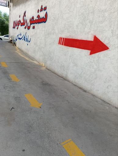 عکس تشخیص رنگ خودرو رباط کارشناس 