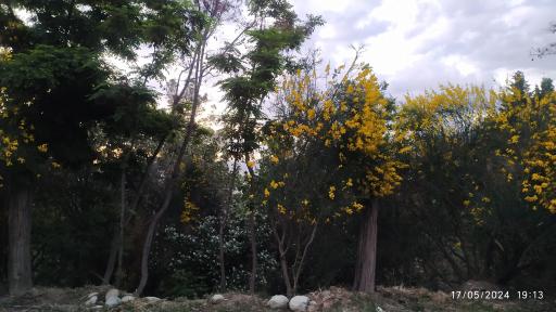 عکس بوستان محیط بان (پارک سافاری)