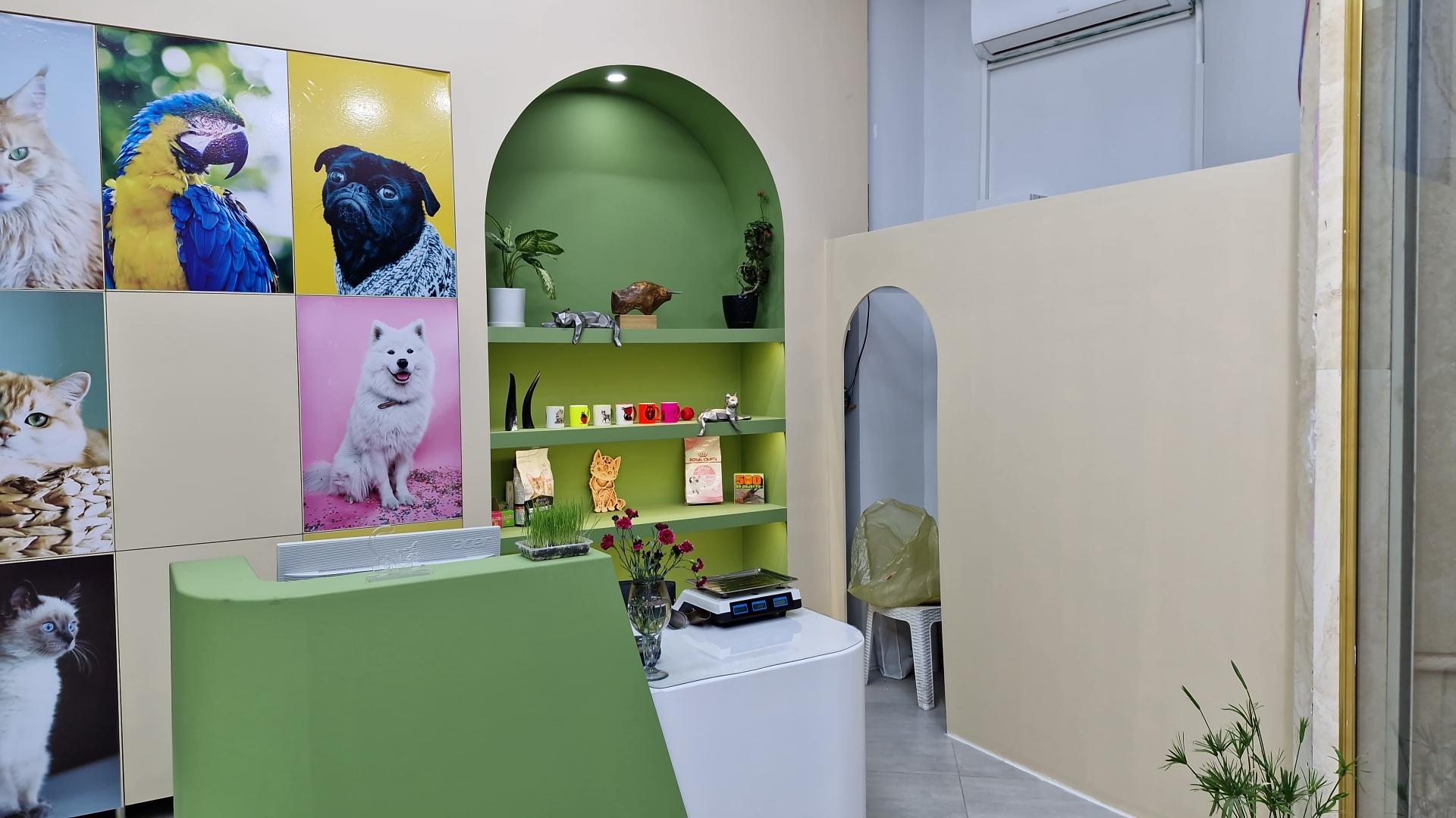 عکس پت شاپ داروین