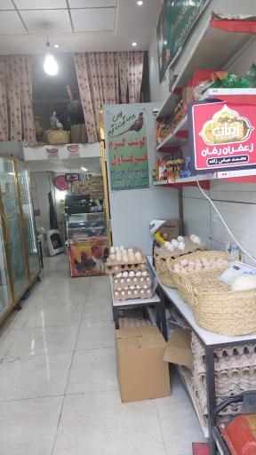 عکس آذر مرغ سیامک