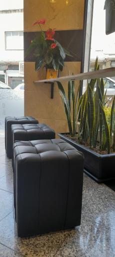 عکس قهوه سبز