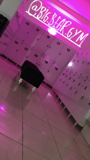 عکس باشگاه بدنسازی خرس بزرگ