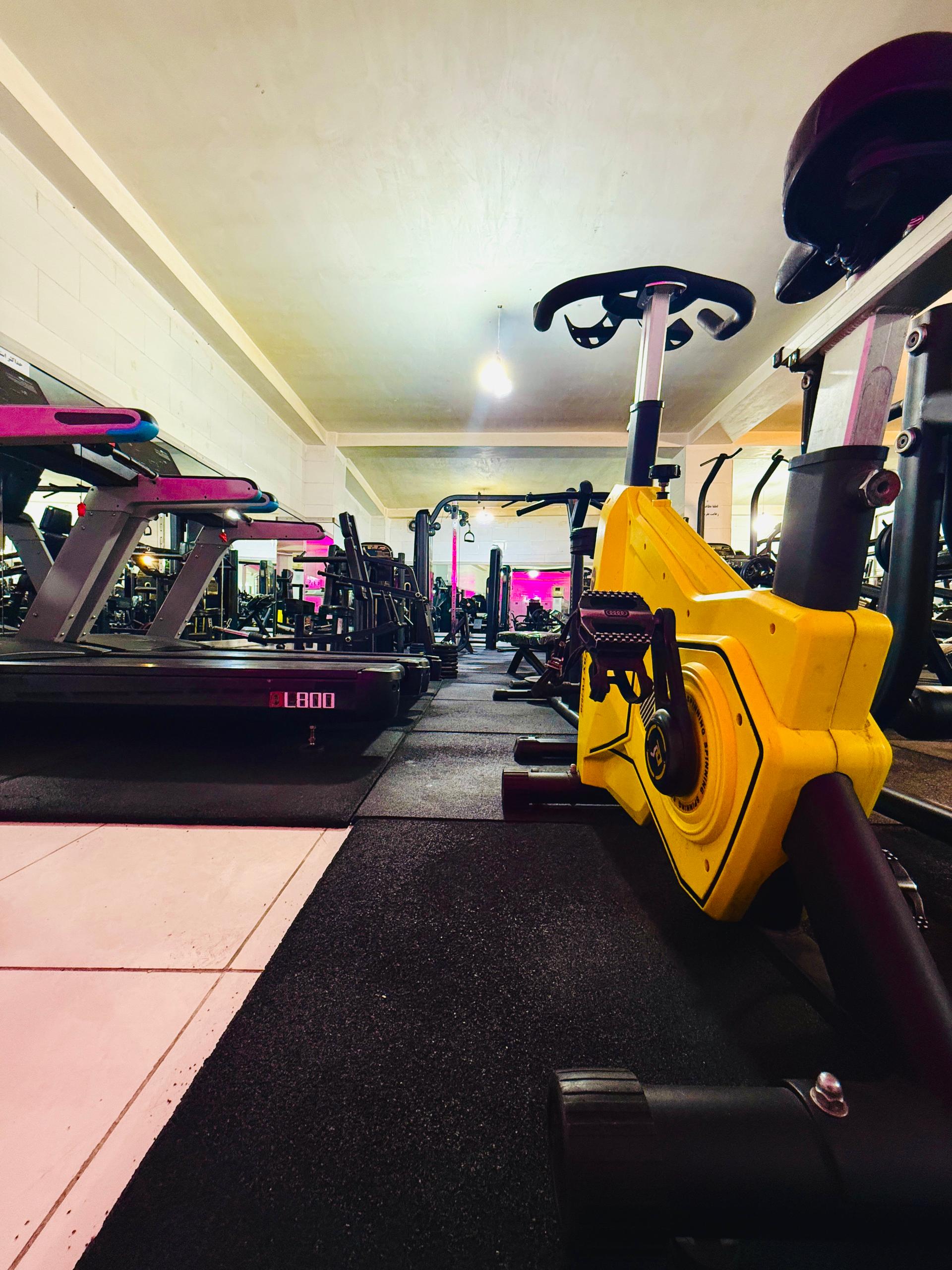 عکس باشگاه بدنسازی خرس بزرگ