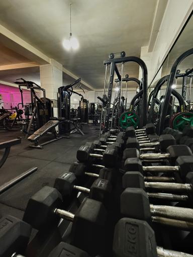 عکس باشگاه بدنسازی خرس بزرگ