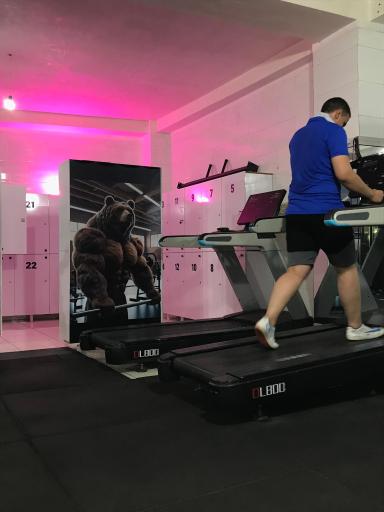 عکس باشگاه بدنسازی خرس بزرگ