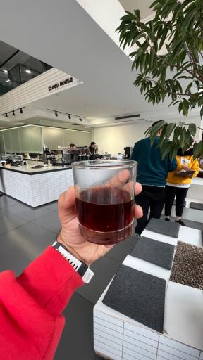 عکس خانه دم آوری