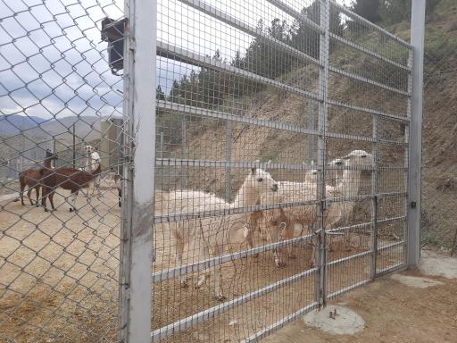 عکس بوستان محیط بان (پارک سافاری)