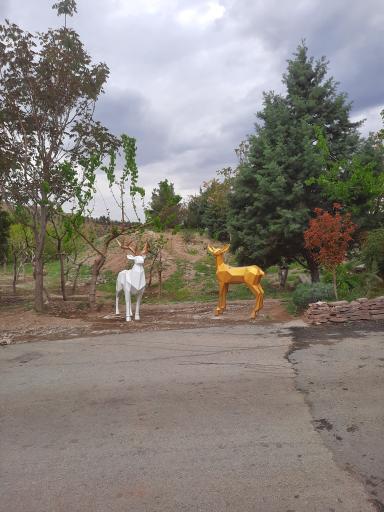 عکس بوستان محیط بان (پارک سافاری)