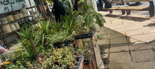 عکس گل فروشی