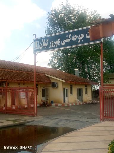 مرغداری بهپرور