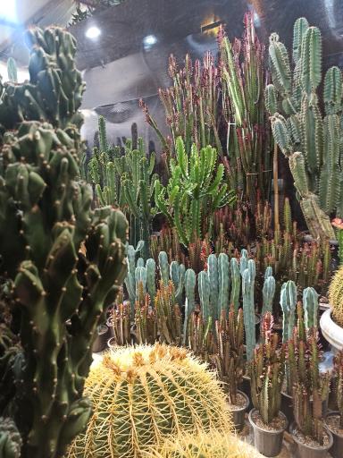 عکس بازار گل محلاتی