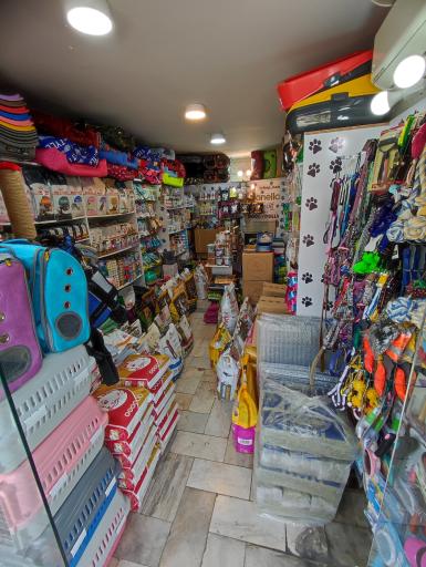 عکس پت شاپ بهار 