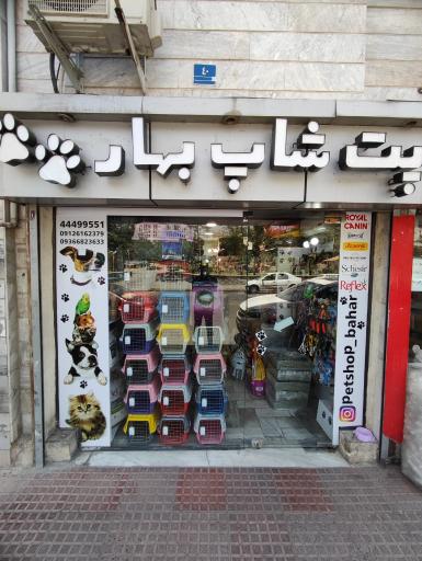 عکس پت شاپ بهار 