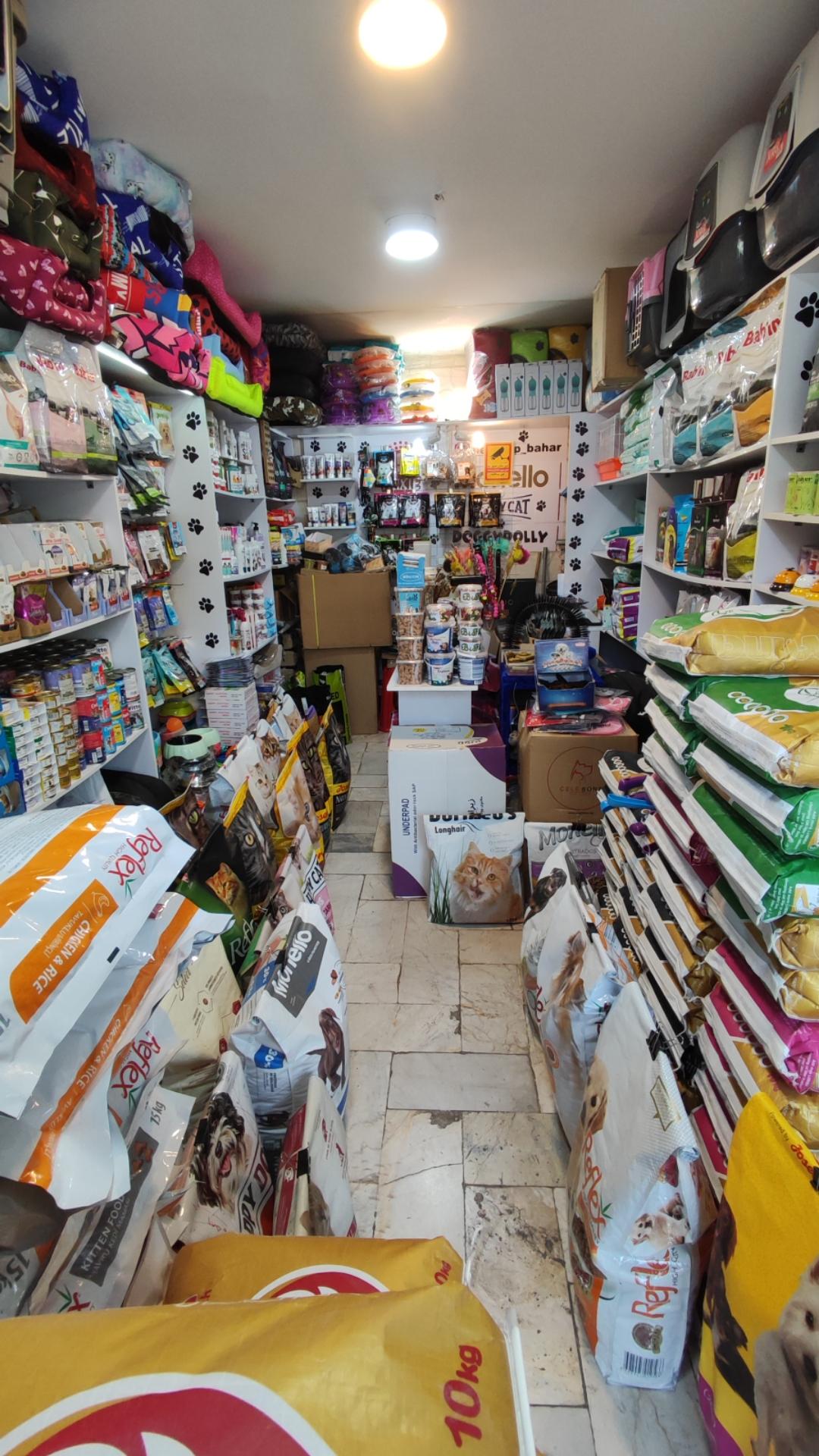 عکس پت شاپ بهار 