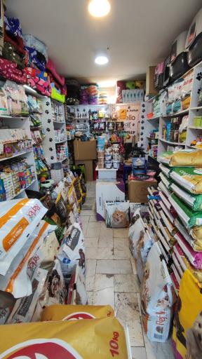 عکس پت شاپ بهار 