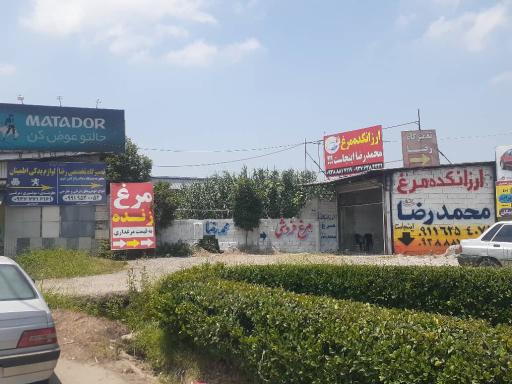 عکس ارزانکده محمدرضا