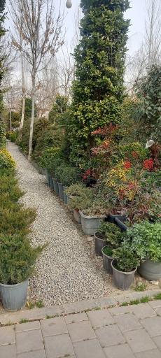 عکس بازار گل محلاتی