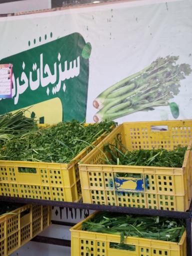 عکس سبزی خردکنی باغچه