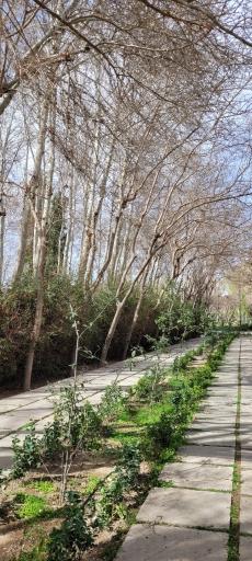 عکس پارک مشتاق دوم