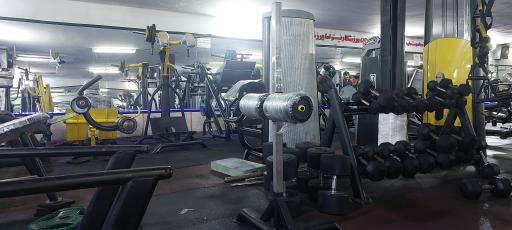 عکس باشگاه بدنسازی فیزیک برتر