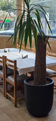 عکس غذاخوری سرآشپز