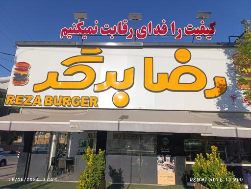 عکس رضا برگر