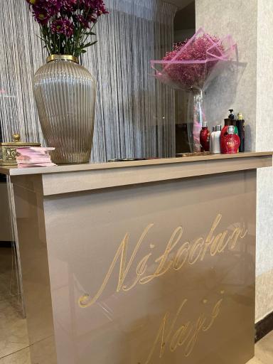 عکس سالن زیبایی نیلوفر 
