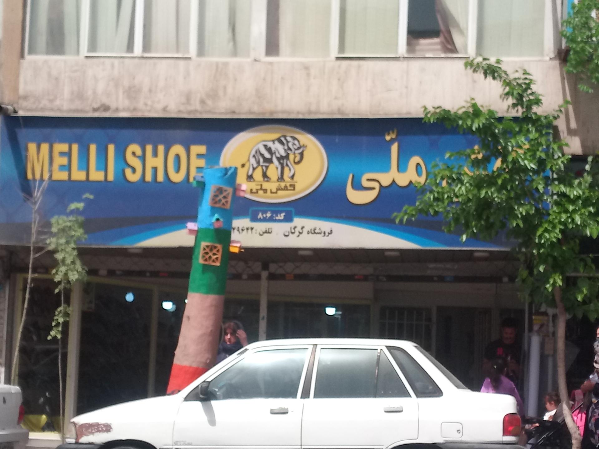 عکس کفش ملی شعبه خواجه نظام