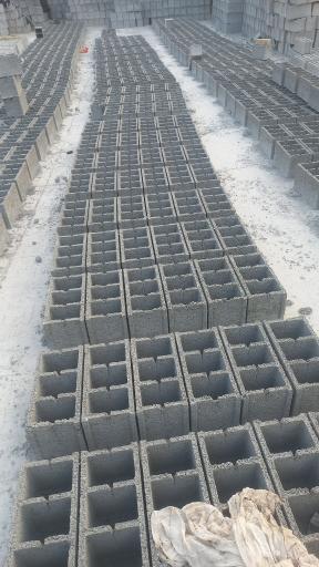 عکس بلوک زنی برادران شاه نظری